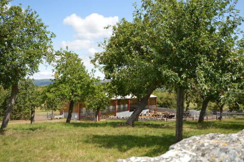 View 2