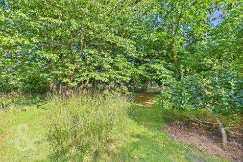 Property Image 71