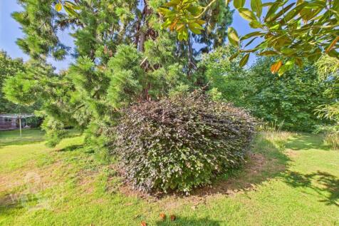Property Image 79