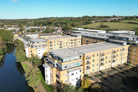 Rear Aspect of Development