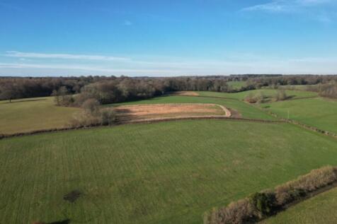 Lrg_DJI_0296