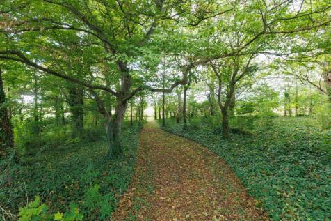 Property Image 28