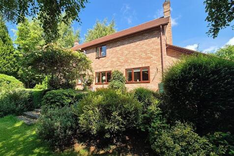 Property Image 24