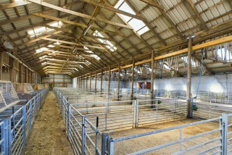 Cattle Court / Byres