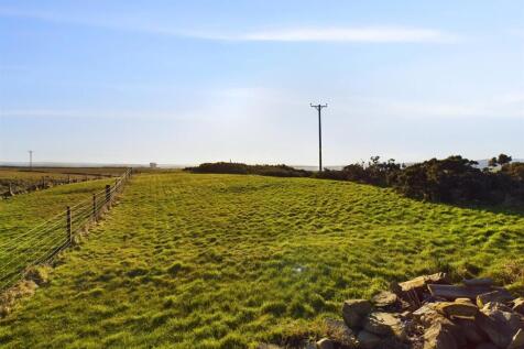 Field