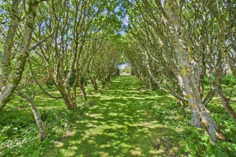 Property Image 30