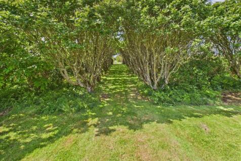 Property Image 31