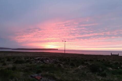 Owners&#39; photograph