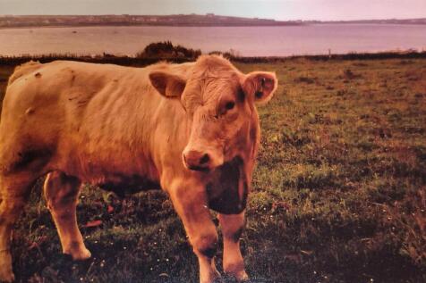 OWNER&#39;S PHOTOGRAPH