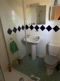 Petersham_shower.JPEG