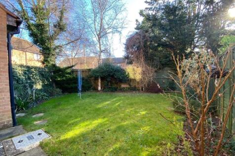 rear garden.jpg