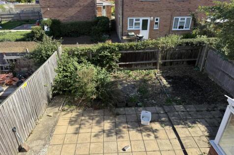 garden 2.JPEG