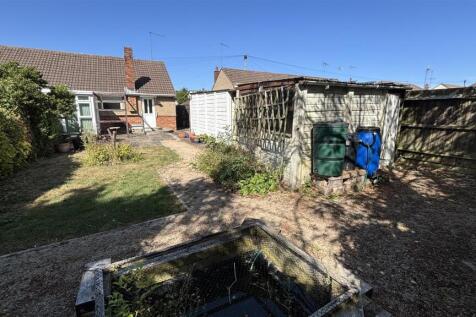 back garden.jpeg