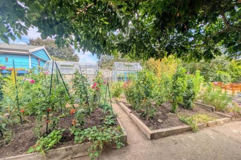 Veg Patch