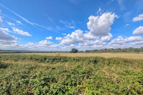Field Views