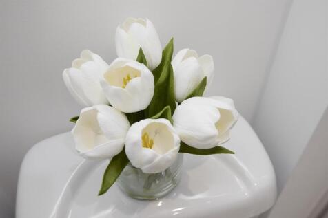 6P1A6345.jpg