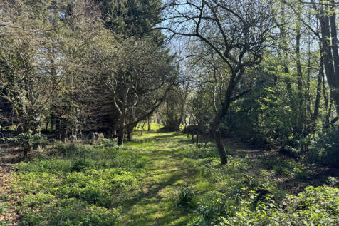 Property Image 39