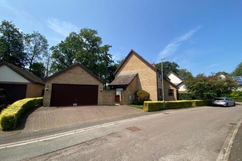Property Image 44