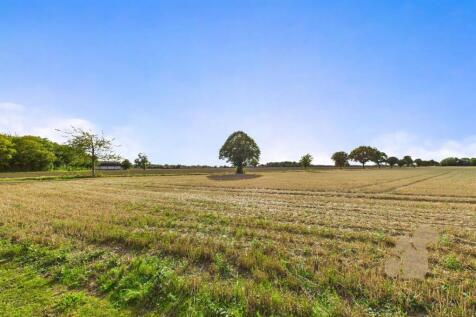 Field Views
