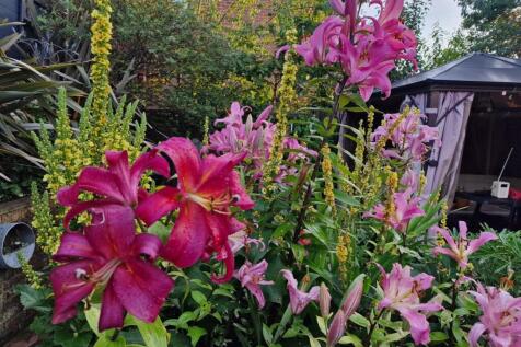 Property Image 54