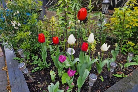 Property Image 51