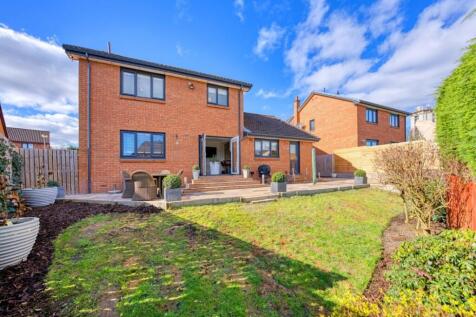 Property Image 49