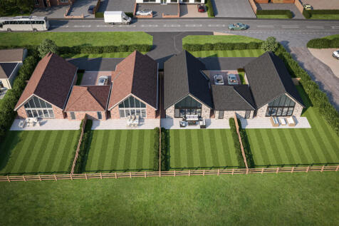 Rear Site Shot