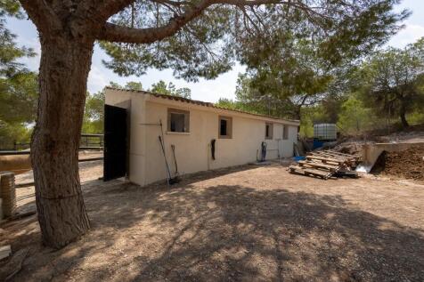 Property Image 42