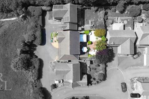 DJI_0446.jpg