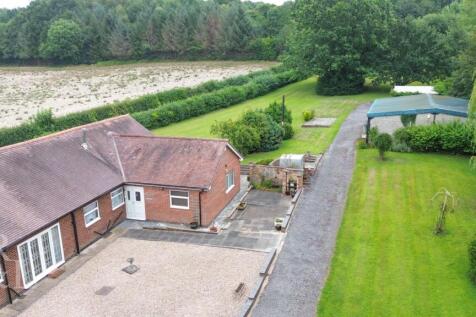 DJI_0784.jpg