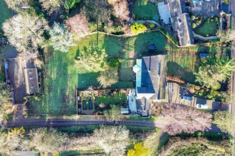 the moor land (2).jpg