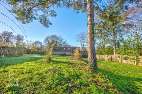 the moor land (12).jpg