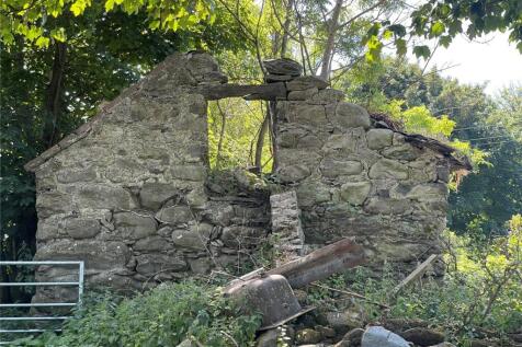 Picture No. 16