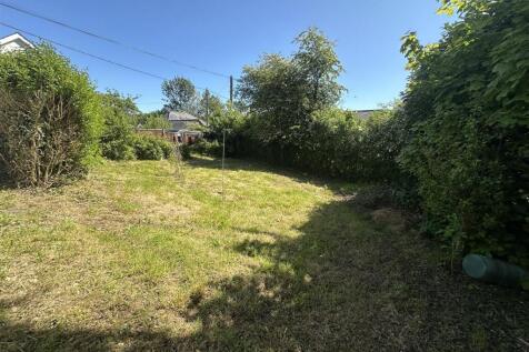 IMG_5279.jpeg