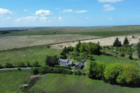 dji_fly_20250506_132330_129_1746534567856_photo_op