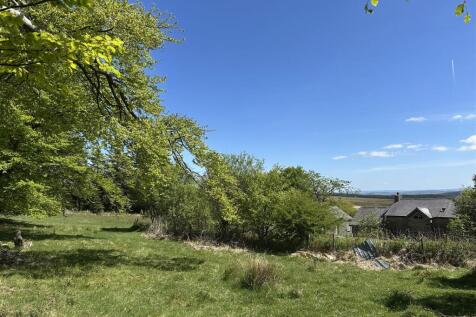 IMG_4985.jpeg
