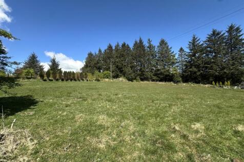 The Land