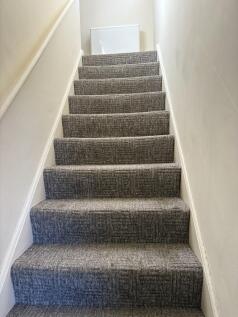 IMG_0792 (1)