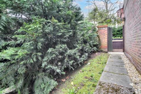 Side Garden_.jpeg