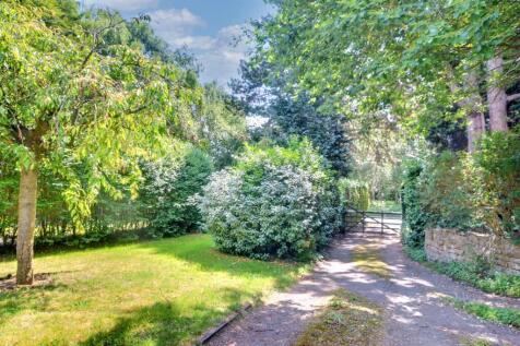 Driveway.jpeg