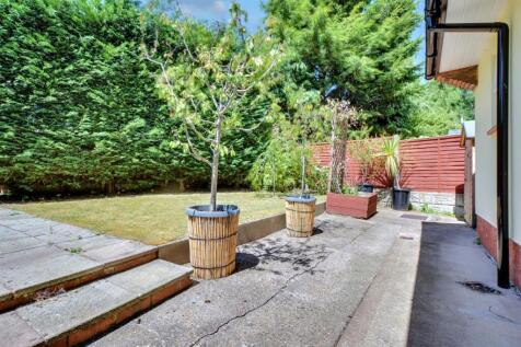 Garden_ (2).jpeg
