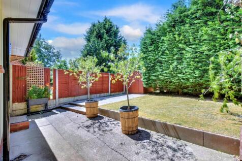Garden_ (4).jpeg