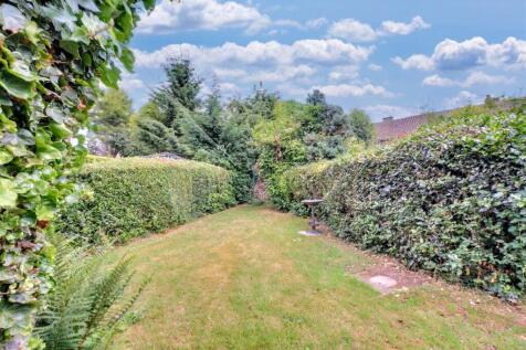 Back Garden_1.jpeg
