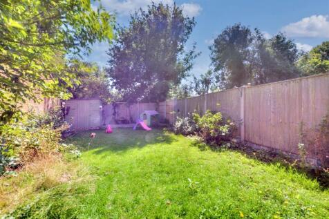 Garden_ (3).jpeg