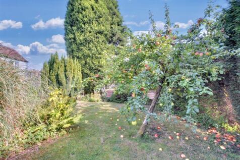 Garden_6.jpeg
