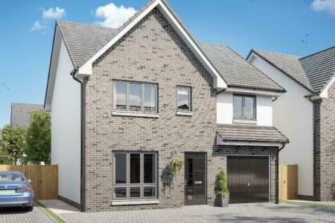 Elmwood CGI