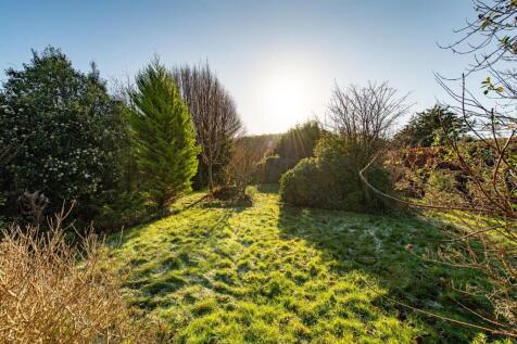 Garden_5.jpg