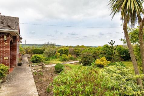 Garden_5.jpg