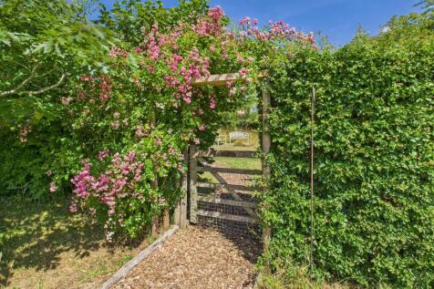 The Garden