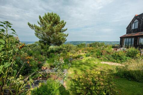 Garden_4.jpg